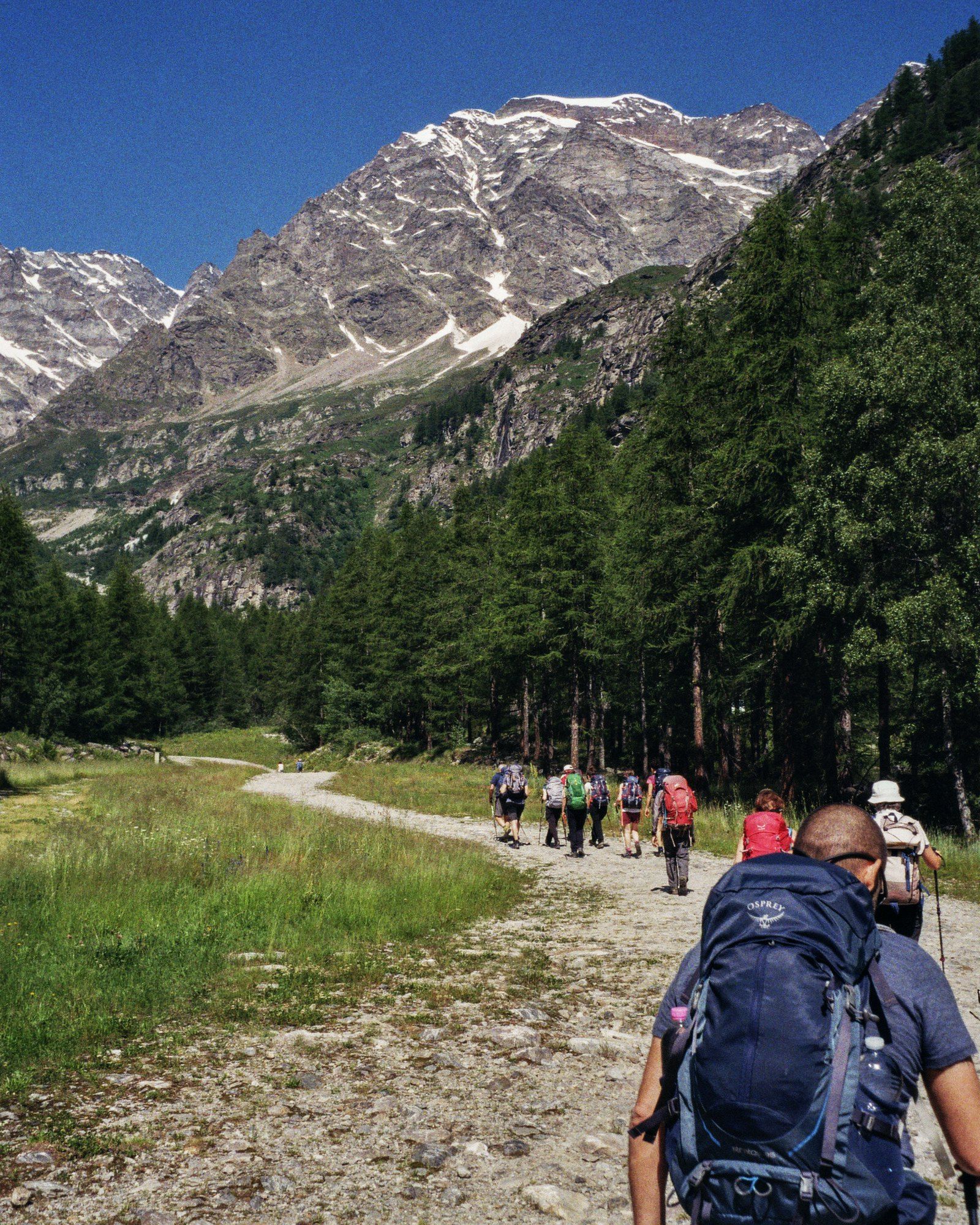 Escursionisti su una strada sterrata di fondovalle tra i larici, con la parete est del Monte Rosa innevata sullo sfondo
